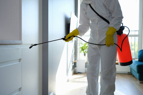 Crawl Space Mold Removal in Monroe, GA