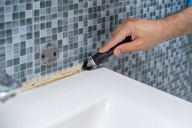 Best Mold Remediation Experts  in Monroe, GA